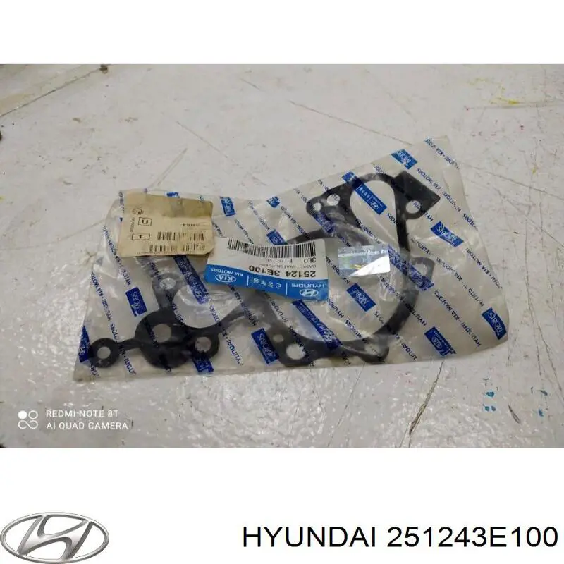 251243E100 Hyundai/Kia Uszczelka pompy wodnej