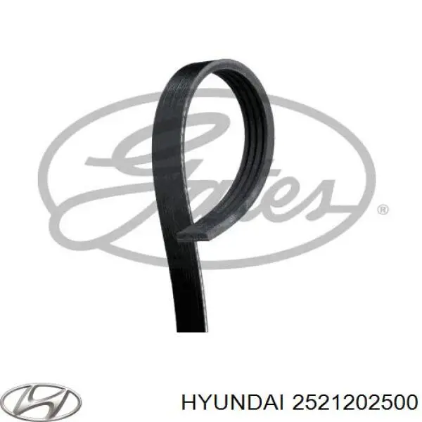 Do koszyka 2521202500 Hyundai/Kia Pas napędowy mechanizmów