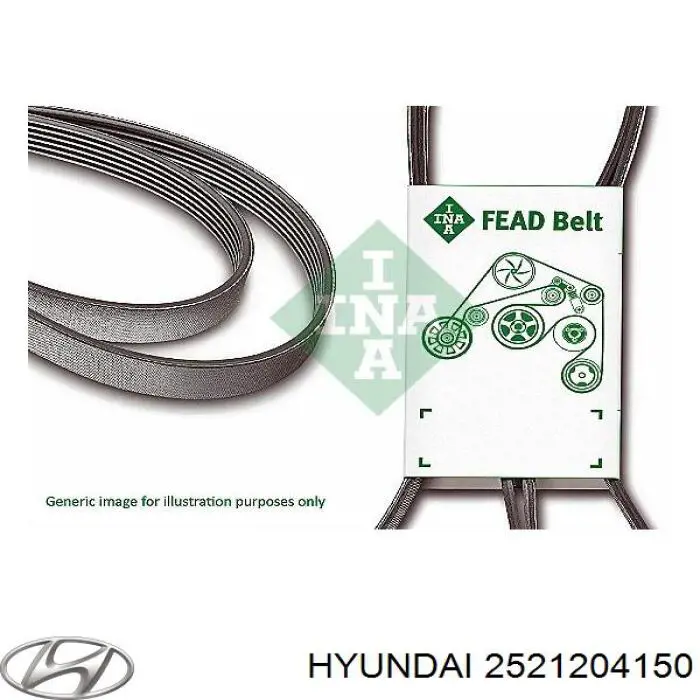 Do koszyka 2521204150 Hyundai/Kia Pas napędowy mechanizmów