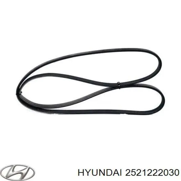 Do koszyka 2521222030 Hyundai/Kia Pas napędowy mechanizmów