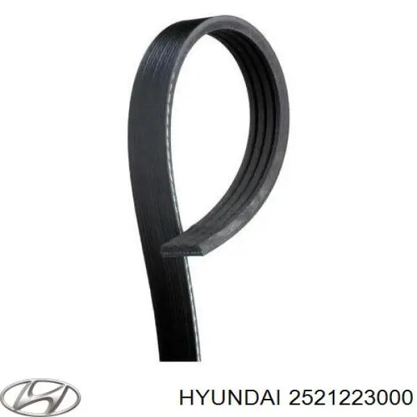 Do koszyka 2521223000 Hyundai/Kia Pas napędowy mechanizmów