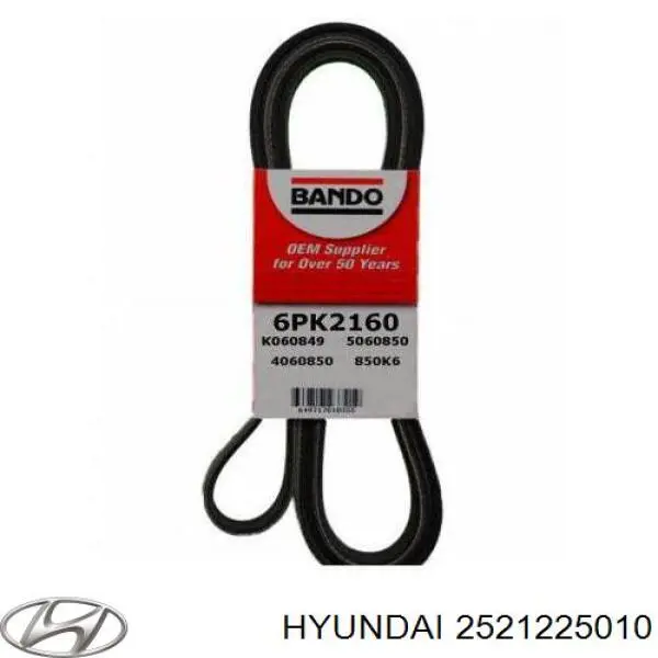 Do koszyka 2521225010 Hyundai/Kia Pas napędowy mechanizmów