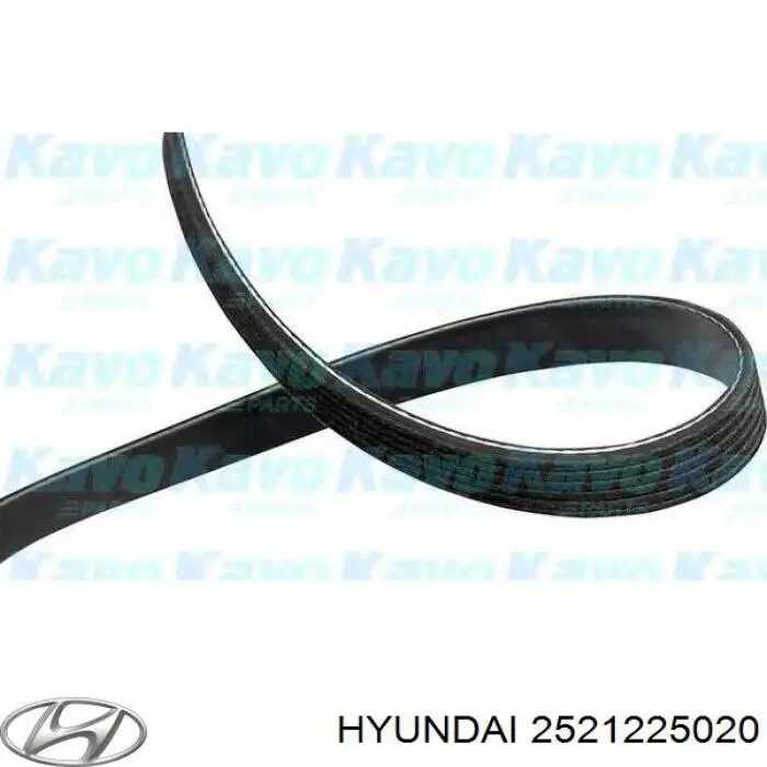 Pas napędowy mechanizmów Hyundai/Kia 2521225020 cena, od 24,20 USD