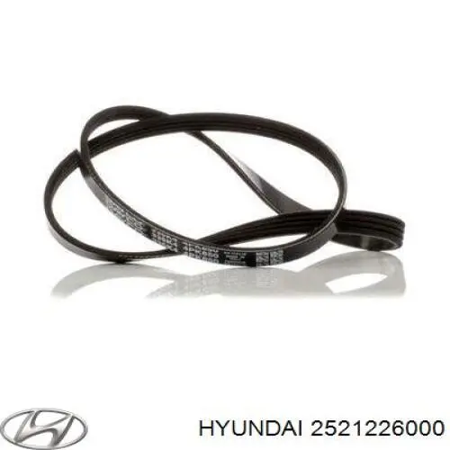 Do koszyka 2521226000 Hyundai/Kia Pas napędowy mechanizmów