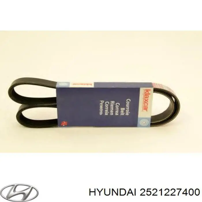 Do koszyka 2521227400 Hyundai/Kia Pas napędowy mechanizmów
