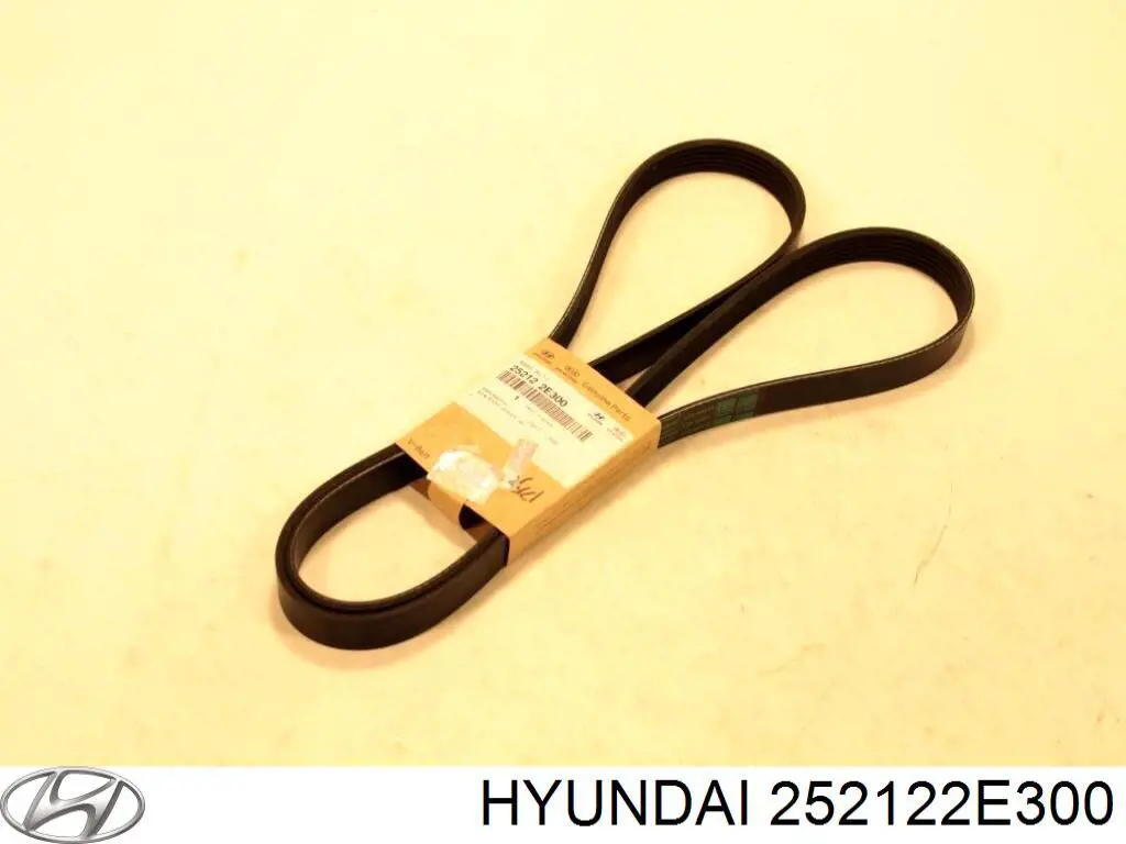 Do koszyka 252122E300 Hyundai/Kia Pas napędowy mechanizmów