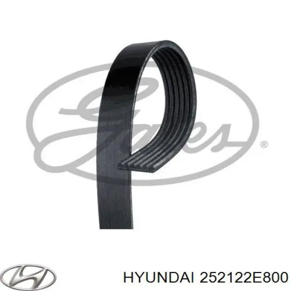 252122E800 Hyundai/Kia Pas napędowy mechanizmów