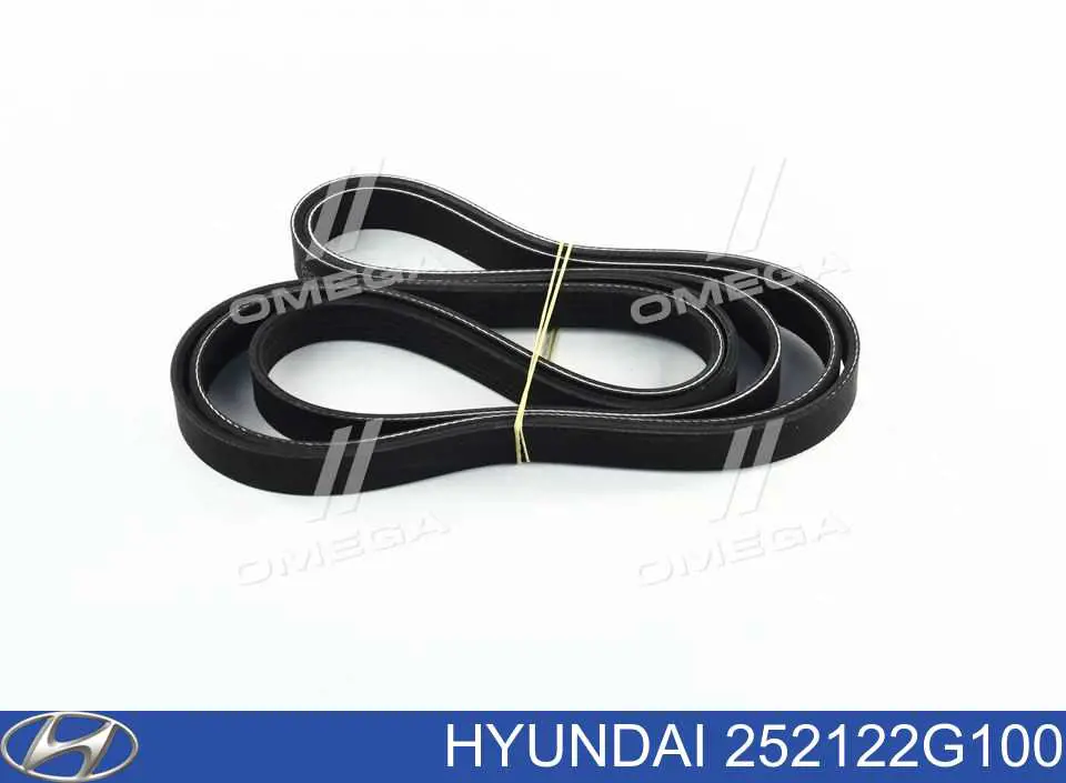 Pas napędowy mechanizmów Hyundai/Kia 252122G100 cena, od 36,84 USD