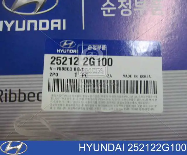 Do koszyka 252122G100 Hyundai/Kia Pas napędowy mechanizmów