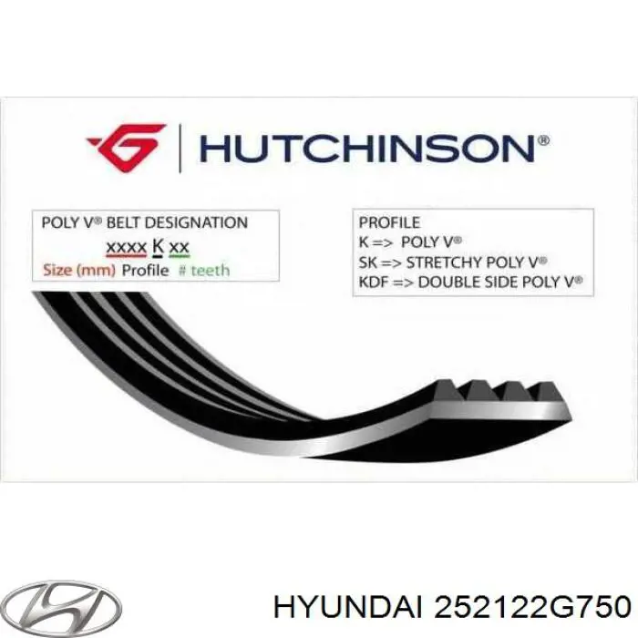 Do koszyka 252122G750 Hyundai/Kia Pas napędowy mechanizmów