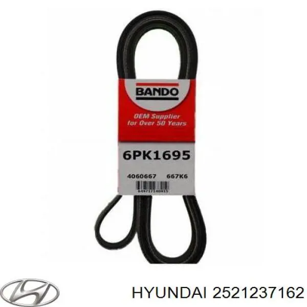 2521237162 Hyundai/Kia Pas napędowy mechanizmów