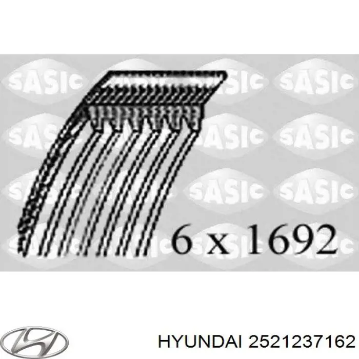 Do koszyka 2521237162 Hyundai/Kia Pas napędowy mechanizmów