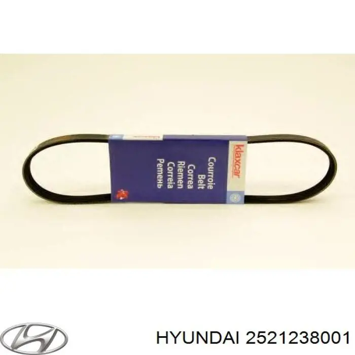 Do koszyka 2521238001 Hyundai/Kia Pas napędowy mechanizmów