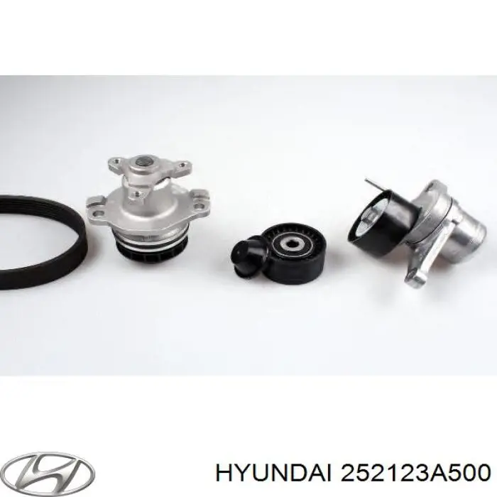 252123A500 Hyundai/Kia Pas napędowy mechanizmów