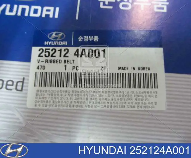 252124A001 Hyundai/Kia pas napędowy mechanizmów