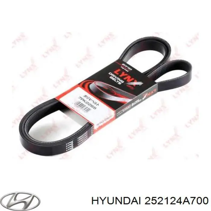 Pas napędowy mechanizmów Hyundai/Kia 252124A700 cena, od 26,54 USD