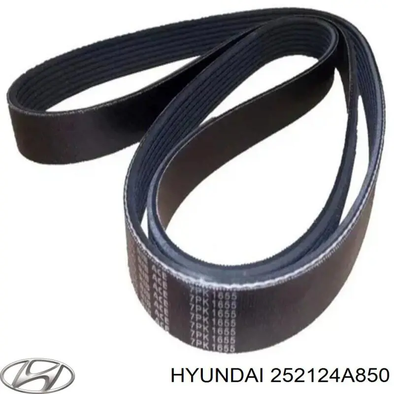 Do koszyka 252124A850 Hyundai/Kia Pas napędowy mechanizmów