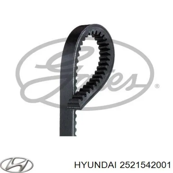 Hyundai/Kia 2521542001