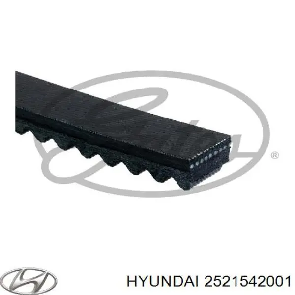 2521542001 Hyundai/Kia Pas napędowy mechanizmów