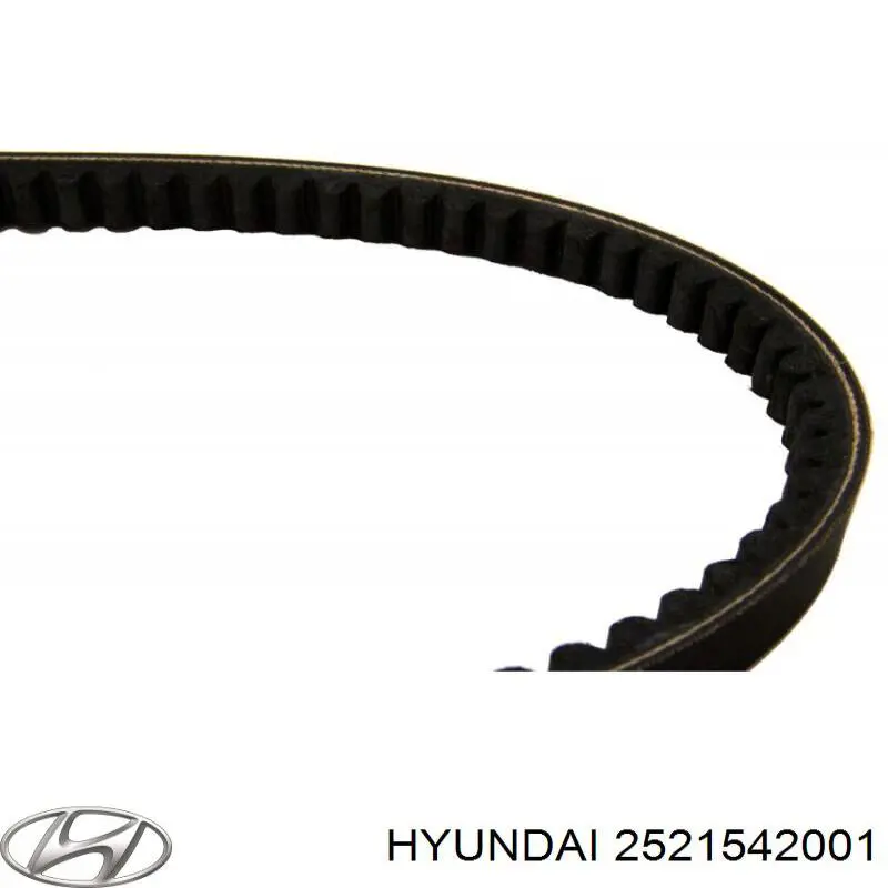 Pas napędowy mechanizmów Hyundai/Kia 2521542001 cena, od 24,79 USD