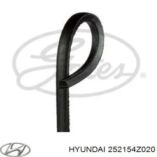252154Z020 Hyundai/Kia Pas napędowy mechanizmów