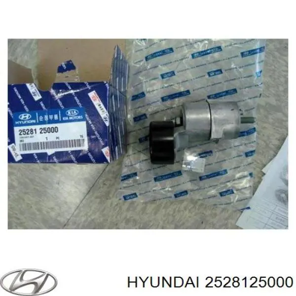 Do koszyka 2528125000 Hyundai/Kia Napinacz paska napędowego