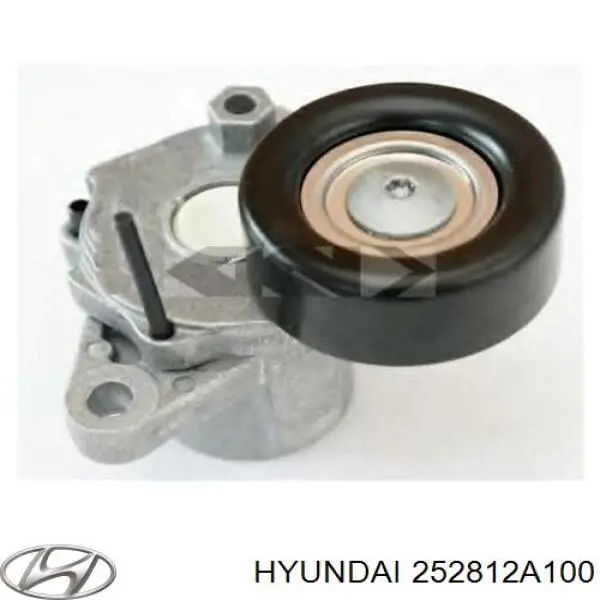 Napinacz paska napędowego Hyundai/Kia 252812A100 cena, od 64,23 USD
