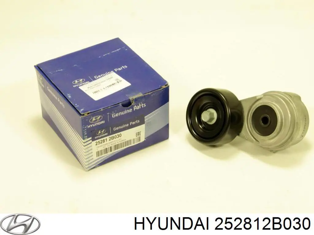 Napinacz paska napędowego Hyundai/Kia 252812B030 cena, od 44,44 USD