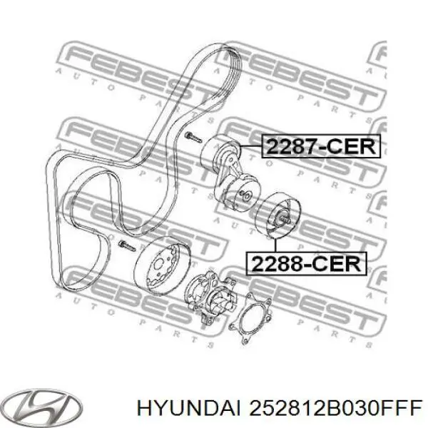 Napinacz paska napędowego Hyundai/Kia 252812B030FFF cena, od 27,33 USD