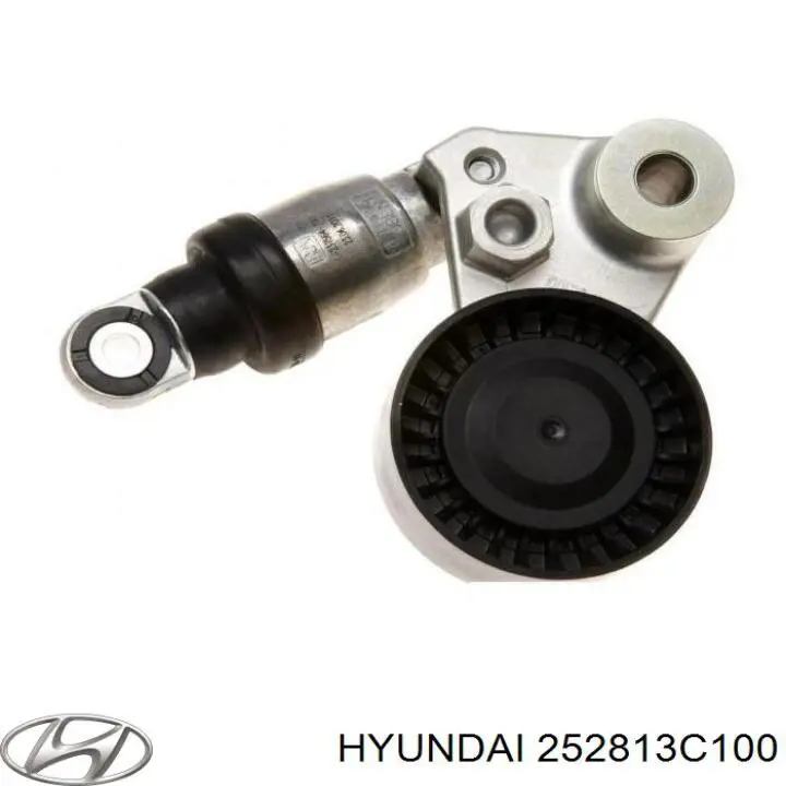 252813C100 Hyundai/Kia Napinacz paska napędowego