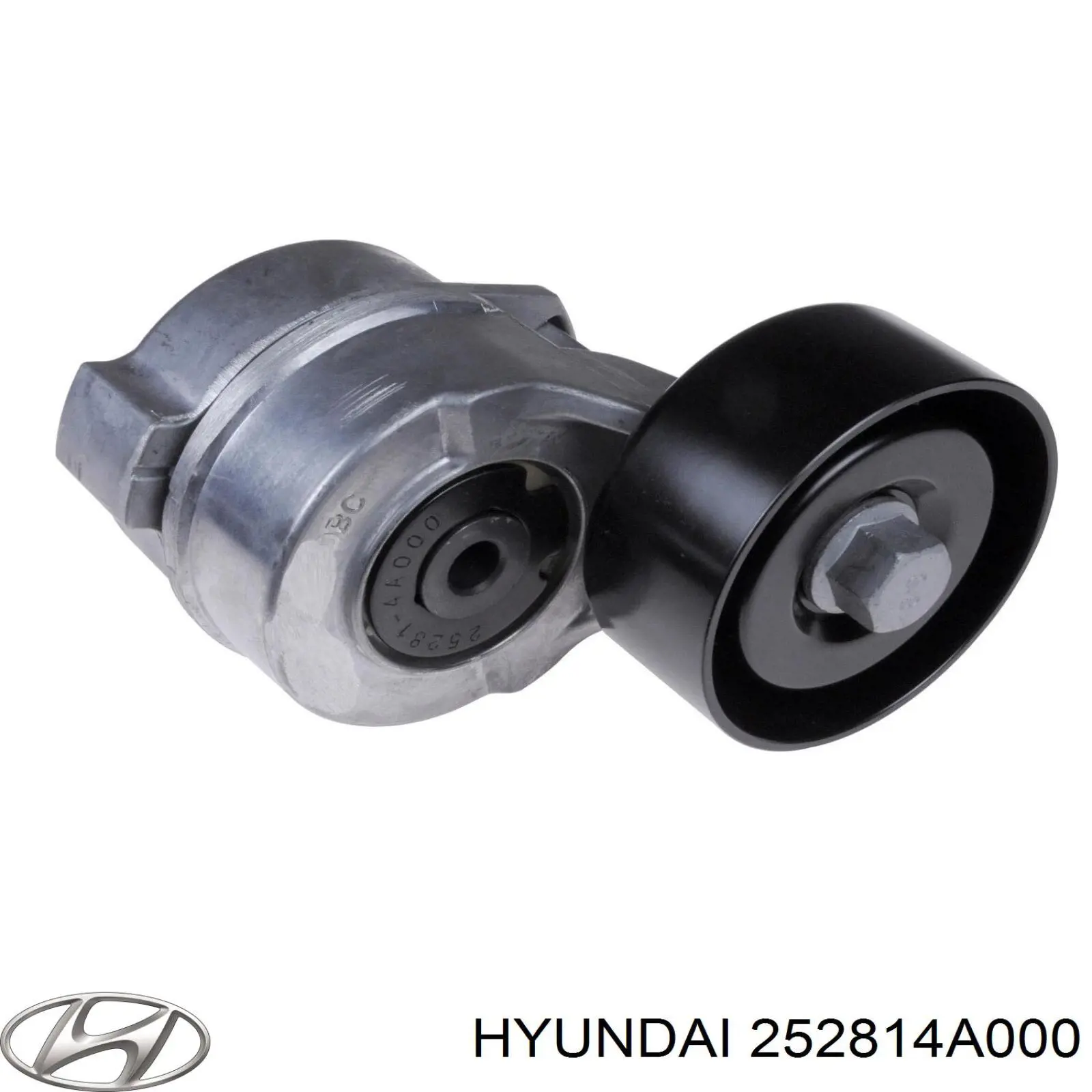 252814A000 Hyundai/Kia Napinacz paska napędowego