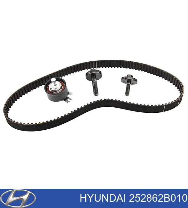 Do koszyka 252862B010 Hyundai/Kia Rolka prowadząca, kierunkowa paska napędowego