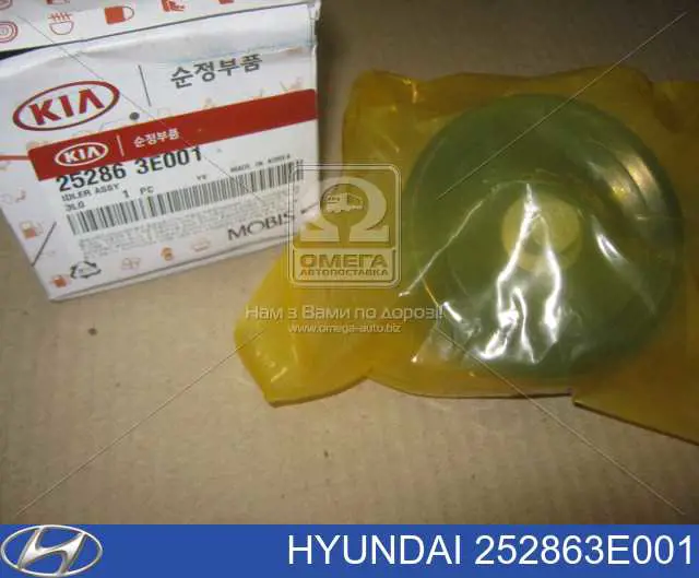 Rolka prowadząca, kierunkowa paska napędowego Hyundai/Kia 252863E001 cena, od 19,09 USD