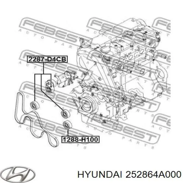 252864A000 Hyundai/Kia Rolka napinacza paska napędowego