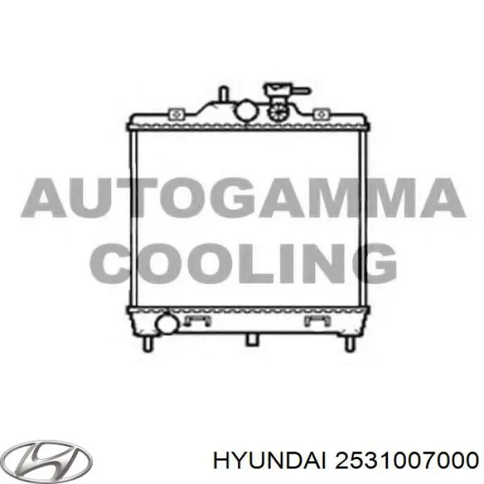 Chłodnica silnika Hyundai/Kia 2531007000 cena, od 78,32 USD
