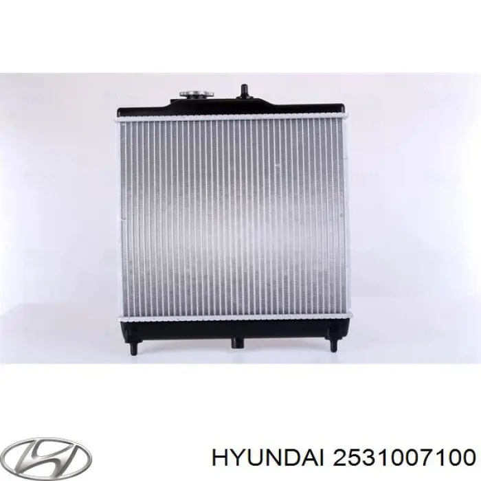 Do koszyka 2531007100 Hyundai/Kia Chłodnica silnika