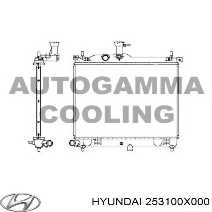 Do koszyka 253100X000 Hyundai/Kia Chłodnica silnika