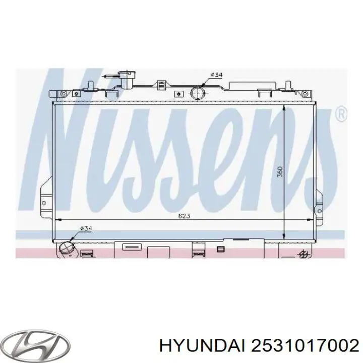 Do koszyka 2531017002 Hyundai/Kia Chłodnica silnika