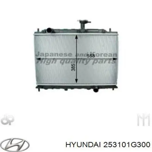 Do koszyka 253101G300 Hyundai/Kia Chłodnica silnika