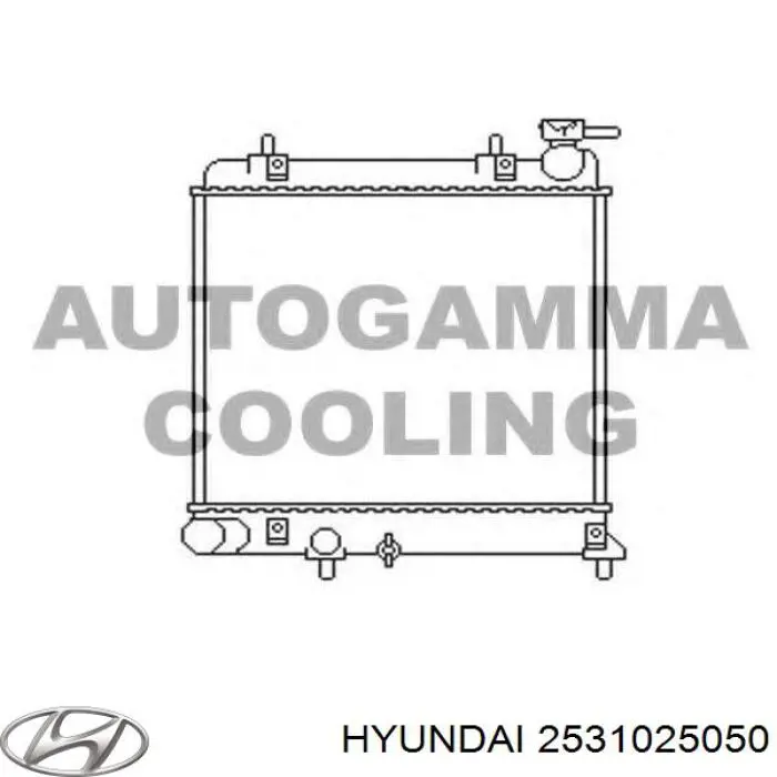 Chłodnica silnika Hyundai/Kia 2531025050 cena, od 57,89 USD