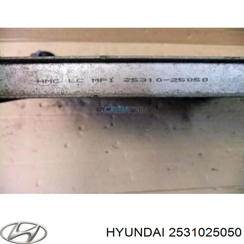 Do koszyka 2531025050 Hyundai/Kia Chłodnica silnika