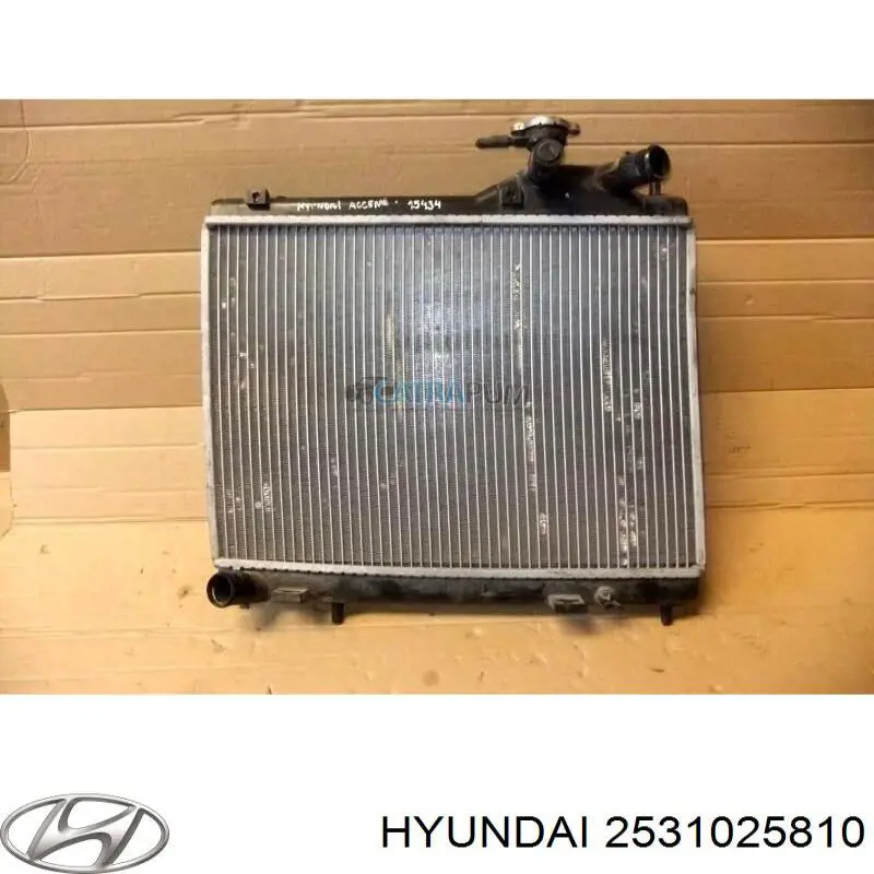 Do koszyka 2531025810 Hyundai/Kia Chłodnica silnika