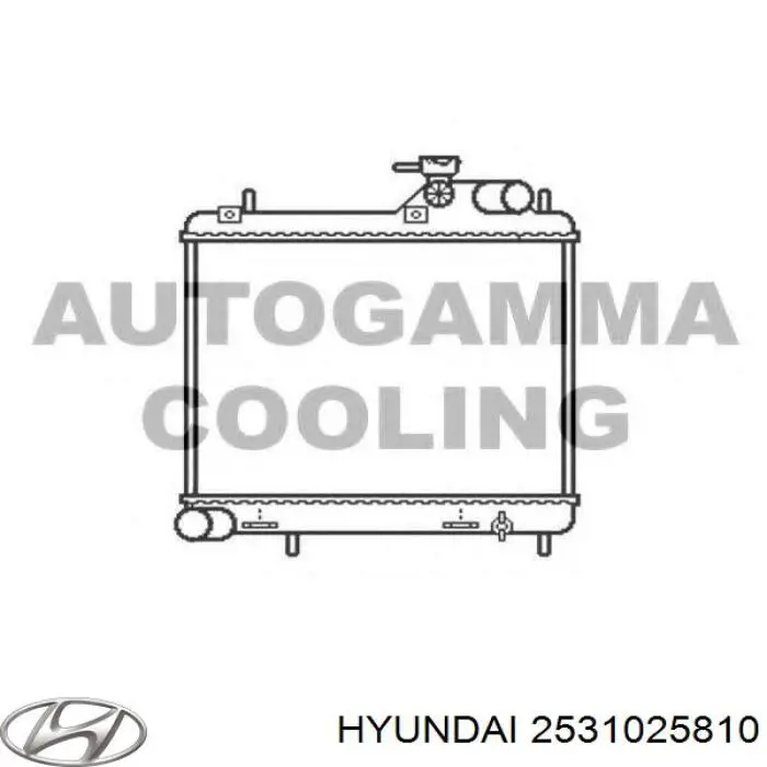 Do koszyka 2531025810 Hyundai/Kia Chłodnica silnika