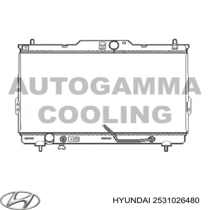 Do koszyka 2531026480 Hyundai/Kia Chłodnica silnika