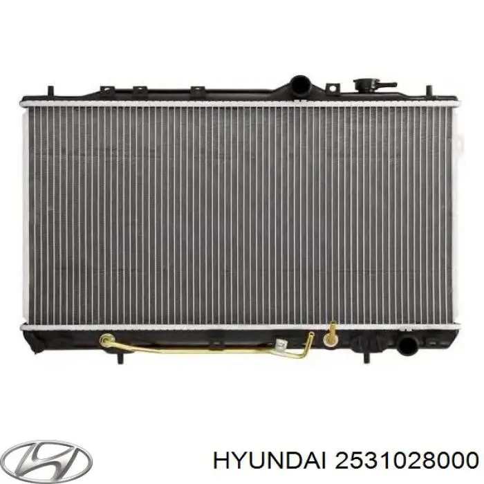 2531028000 Hyundai/Kia Chłodnica silnika