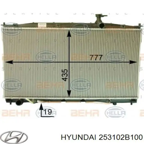 Do koszyka 253102B100 Hyundai/Kia Chłodnica silnika