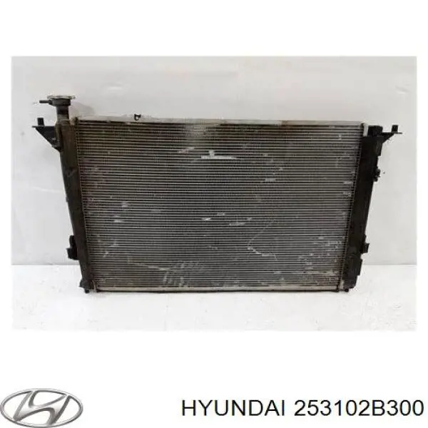 253102B300 Hyundai/Kia Chłodnica silnika