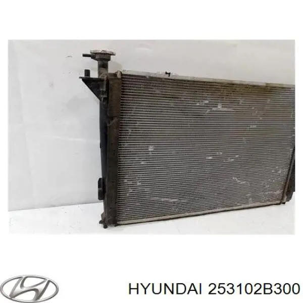 Do koszyka 253102B300 Hyundai/Kia Chłodnica silnika