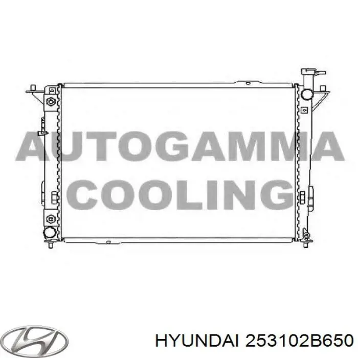 Chłodnica silnika Hyundai/Kia 253102B650 cena, od 158,77 USD