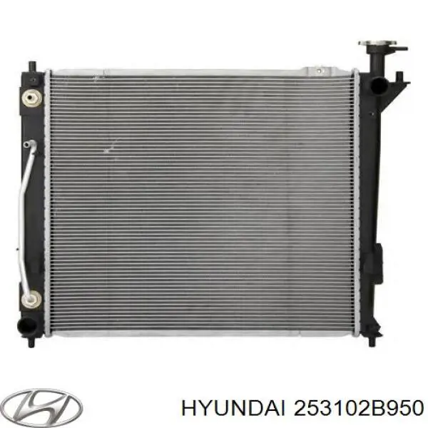 Do koszyka 253102B950 Hyundai/Kia Chłodnica silnika